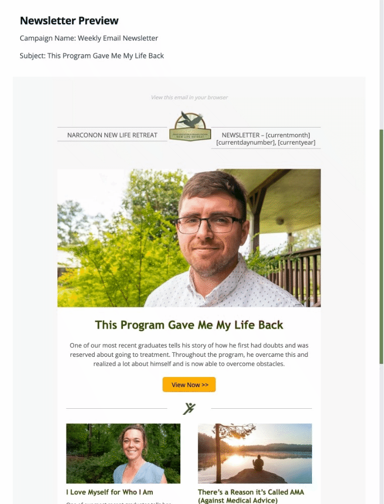 Preview of Email Newsletter